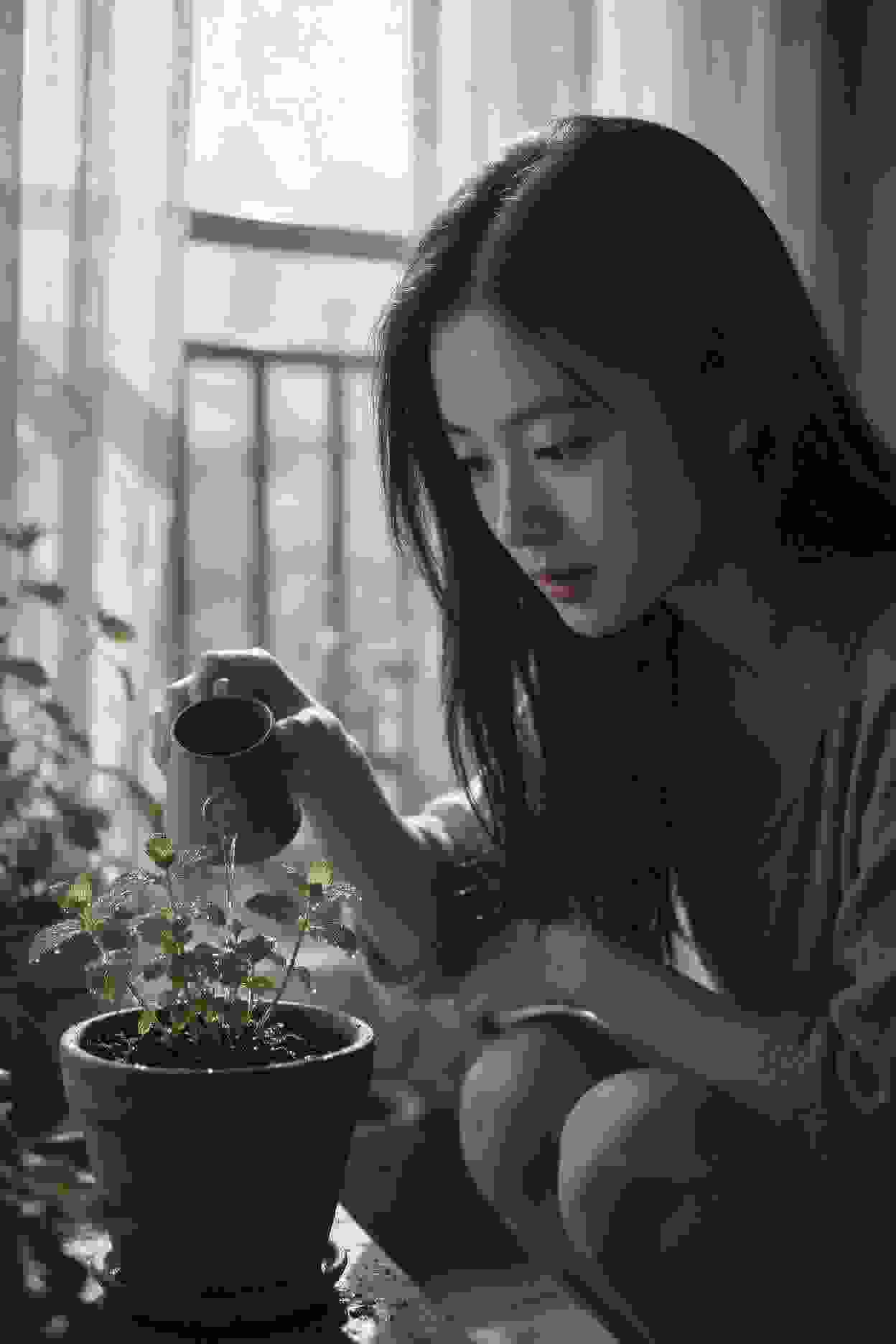 豪门密爱